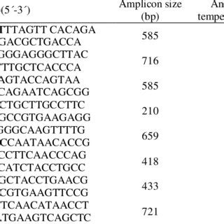 List Of Primers Used In Pcr For The Detection Of E Coli And Antibiotic