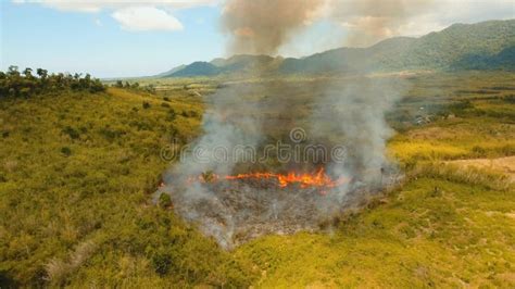 Deforestation in the Philippines Stock Photo - Image of exploitation ...