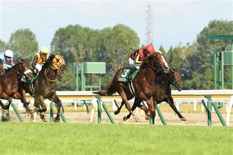 【新潟記念】ノッキングポイント重賞初v 北村宏司騎手は2週連続重賞勝ち｜競馬ニュース｜競馬予想のウマニティ