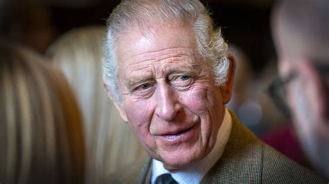 Charles Iii Ces Repr Sailles Qu Il Envisage Si Les M Moires Du Prince