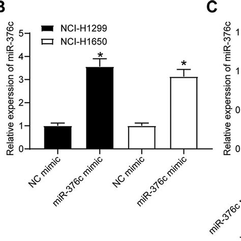 Mir 376c Is Transferred By Ec Evs Into Ncl H1299 Cells A Download Scientific Diagram