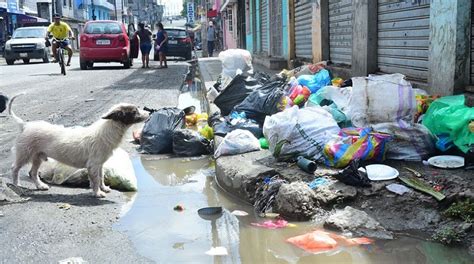 Leptospirosis En Dur N Gana Terreno Por Aguas Estancadas E Insalubridad