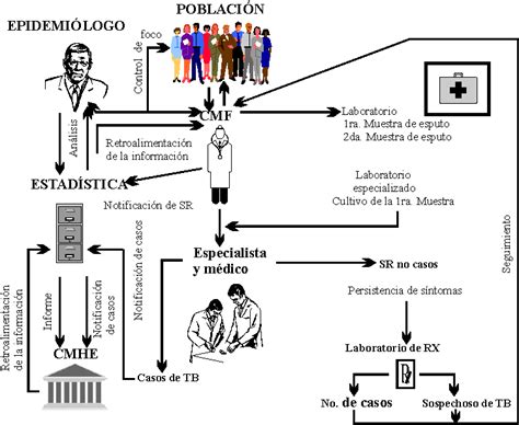 Esquema Sobre La Familia Imagui