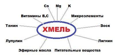 Корвалкапс: инструкция по применению, показания, отзывы, цена и аналоги