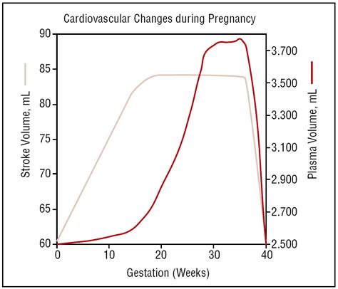 Pregnancy And Heart Disease Revista Española De Cardiología