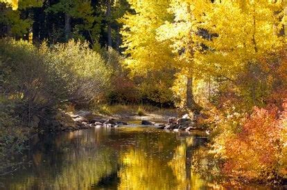 California Fall Colors 2025 - Rove.me