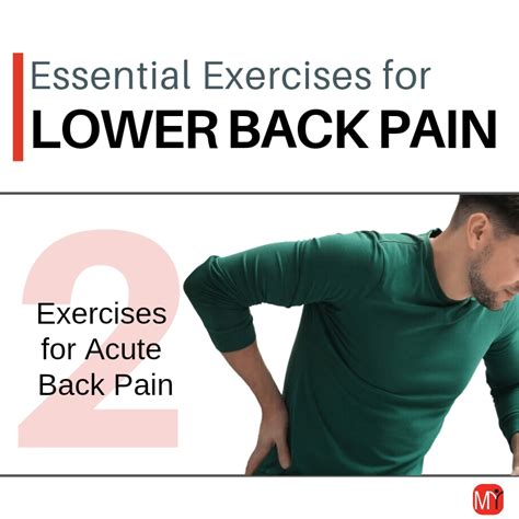 Back Pain Exercises Archives My Rehab Connection