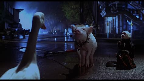 Babe Pig In The City