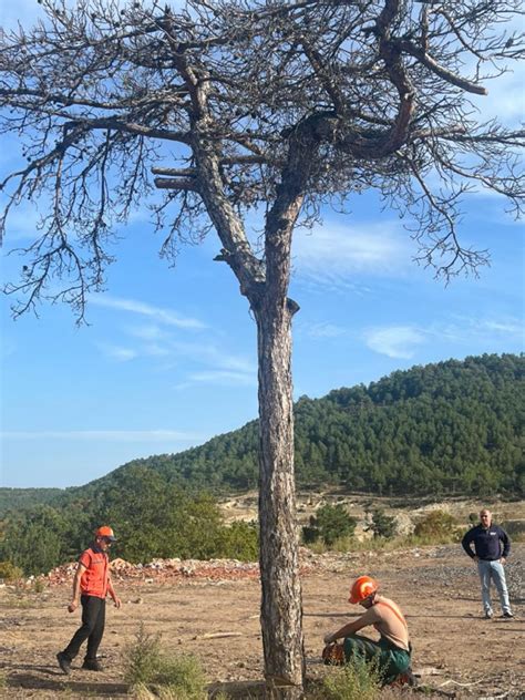 BÜYÜKORHAN MESLEK YÜKSEKOKULU ÖĞRENCİLERİNE AĞAÇ KESME MESAHA VE