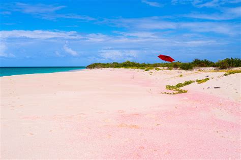 10 Best Beaches in Barbuda - What Is the Most Popular Beach in Barbuda ...