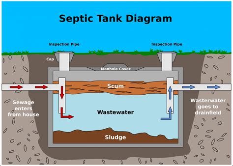 Septic,Tank,Vector,Diagram | Schleg Valley Construction