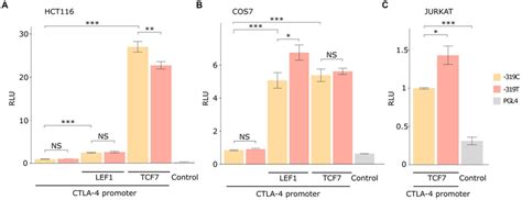 Luciferase reporter assay results in different cellular models. The ... 