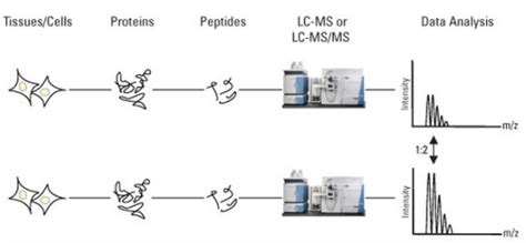 Label Free Quantification Webinars