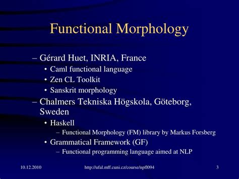 Ppt Morphological Analysis Functional Morphology Powerpoint