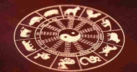 Chinese Zodiac Compatibility Ox And Horse / Horse Horoscope 2021 : The ...