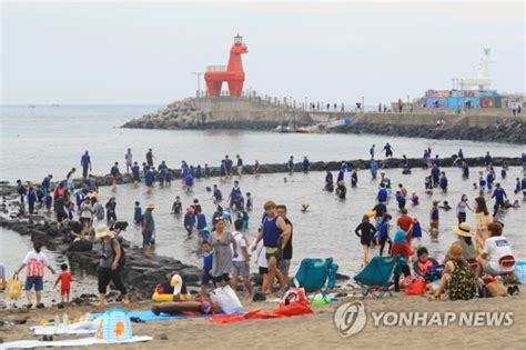 제주소식 이호테우축제 8월 2일 개막 스포츠조선