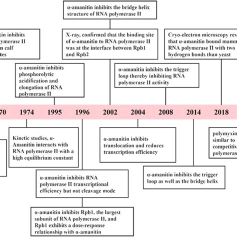 The Critical Event Of α Amanitin Inhibition Of Rna Polymeraseii