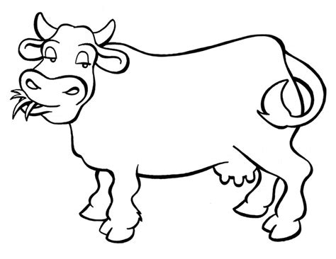 Cow Template Animal Templates Free And Premium Templates