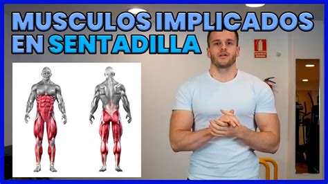 Músculos Implicados en SENTADILLA Activación Muscular GYM YouTube