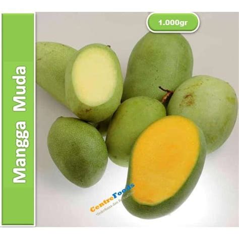 Jual Buah Mangga Muda Mangga Rujak Fresh 1000gr Harga Per Kg