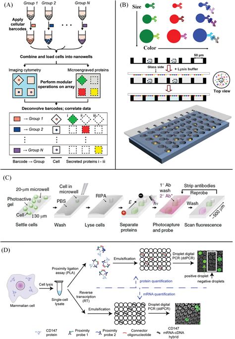 The Intriguing Landscape Of SingleCell Protein Analysis Xie 2022