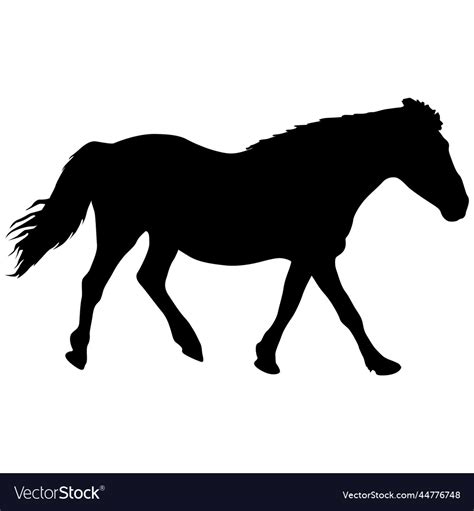 Silhouette of black mustang horse Royalty Free Vector Image