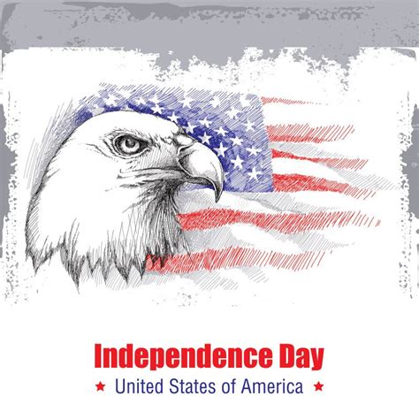 Vector Sketch Of Bald Eagle Head On The Background With American Flag ...