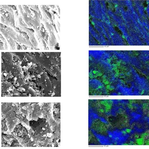 The SEM Image And Elemental Mapping Analysis Results For A 2 Fe C