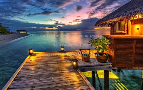 🔥 [20+] Beach Bungalow Wallpapers | WallpaperSafari