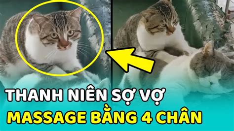 Thanh niên mèo SỢ VỢ dùng cả 4 chân để MASSAGE vì QUÁ MỎI MEOW