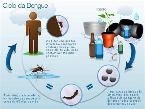 Chuvas e Calor é preciso redobrar o combate à dengue