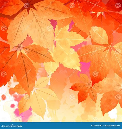 Autumn Vector Watercolor Fall Leaves Stock Vector Image