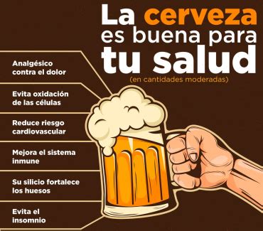 Beneficios Y Contraindicaciones De La Cerveza Salud NBKomputer