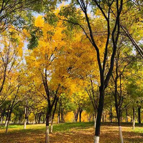 Dongxiaokou Walk Trail - Changping District, Beijing, China | Pacer