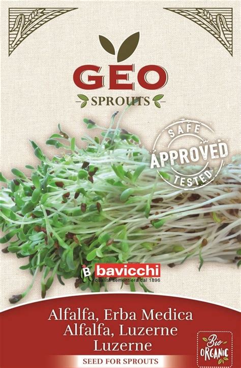 Bavicchi Semillas Para Germinados De Alfalfa Bio Bloomling Tienda