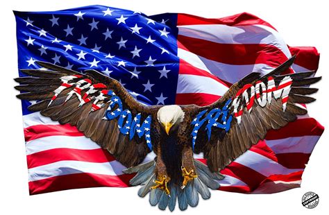 Freedom Eagle Murica