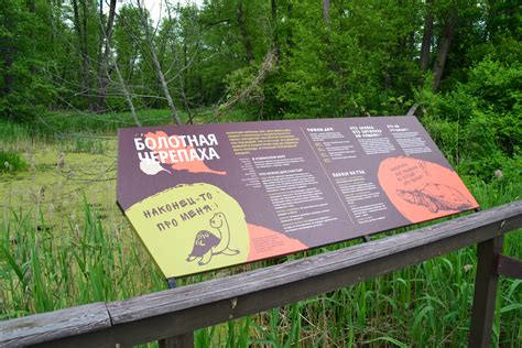 Колесные арки klokkerholm на corsa b — Opel Corsa B, 1 л, 2000 года ...