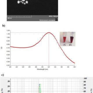 Analysis Of Synthesized Aunps A Size Measurement Of Naked Aunps By