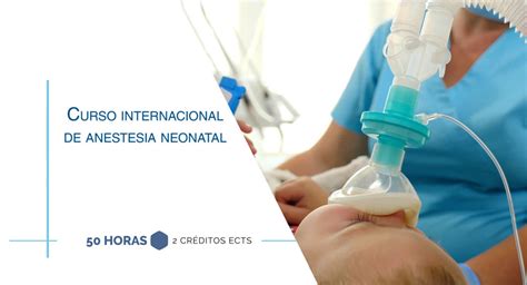 Curso Internacional De Anestesiolog A Y Reanimaci N Pr Ctica Eshe