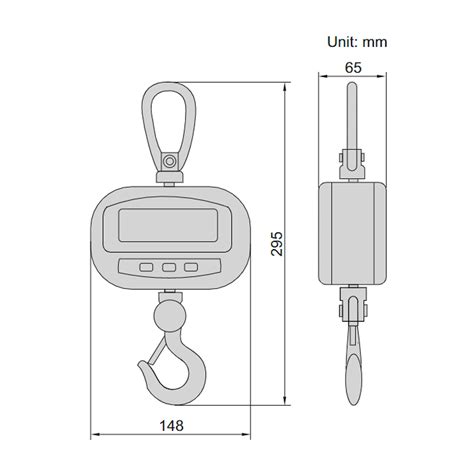 150kg Electronic Crane Scales Economic Type 8201 Series Insize