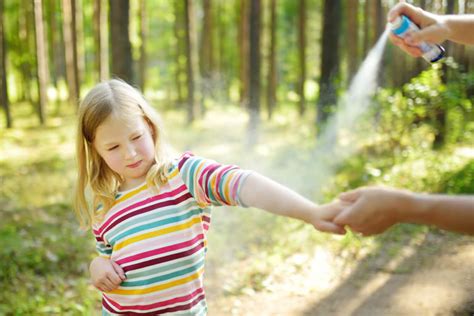 Zecche Cosa Sono Come Riconoscerle E Come Prevenire Le Loro Punture