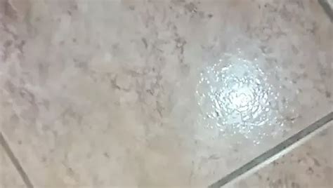 Sperma Spricc Gay Masturbation Hd Porn Video Xhamster Xhamster