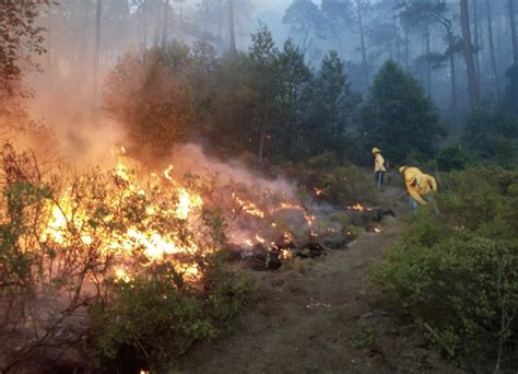 Disminuye Más 43 La Cantidad De Hectáreas Dañadas Por Incendios