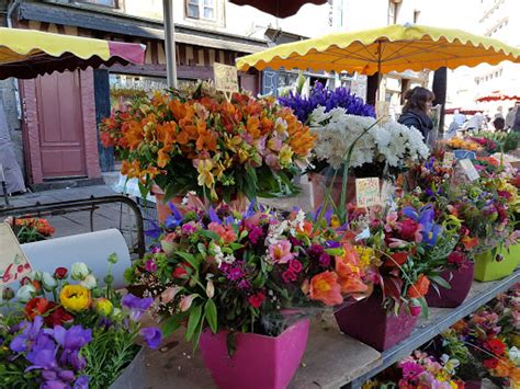 Marche Des Lices Rennes Destimap Destinations On Map