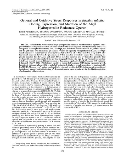 Pdf General And Oxidative Stress Responses In Bacillus Subtilis