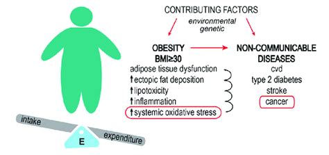 Obesity Increases The Risk Of Developing Non Communicable Diseases