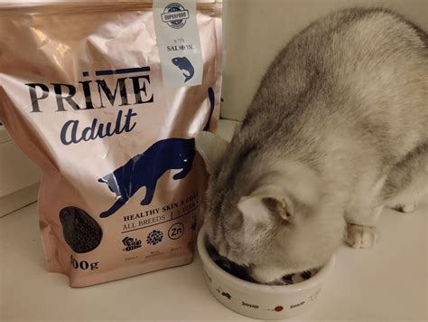 PRIME ADULT HEALTHY SKIN&COAT Сухой корм для кошек здоровая кожа и ...