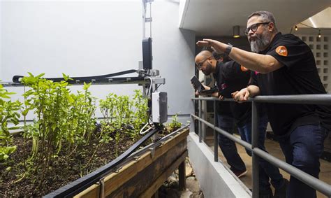 Engine 4 Muestra Cómo Podría Ser El Futuro De La Agricultura En Puerto Rico El Nuevo Día