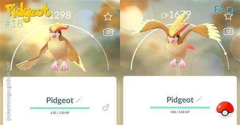 Mega Pidgeot Faq Pokemon Go