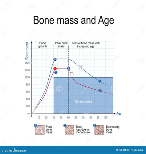 Bone Density Scale Chart